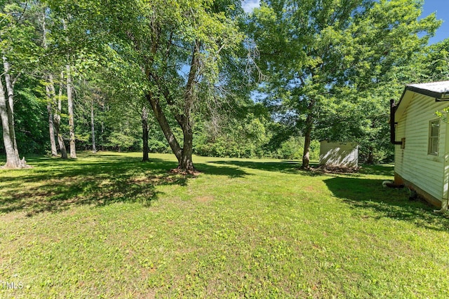 8089 Crawford Currin Rd, Oxford, NC 27565 - view of green lawn
