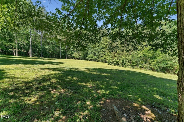 8089 Crawford Currin Rd, Oxford, NC 27565 - view of grassy yard with a forest view