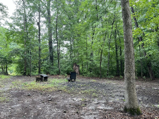 108 W Marsha Gayle Ct, Fuquay Varina, NC 27526 - view of wooded area
