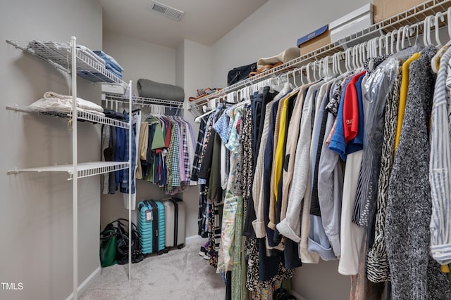 8404 Saltwood Pl, Raleigh, NC 27617 - walk in closet with carpet