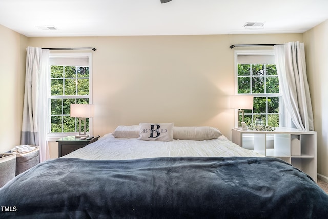 6 Beaver Creek Ln, Durham, NC 27703 - bedroom with multiple windows