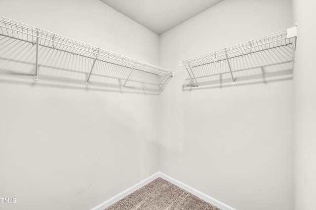 173 Forsyth Pkwy, Clayton, NC 27520 - walk in closet featuring carpet floors