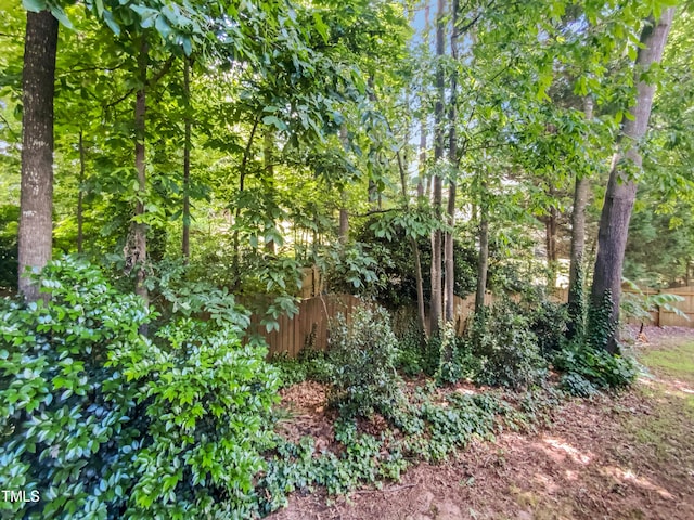 105 Crosswaite Way, Cary, NC 27518 - view of undeveloped land