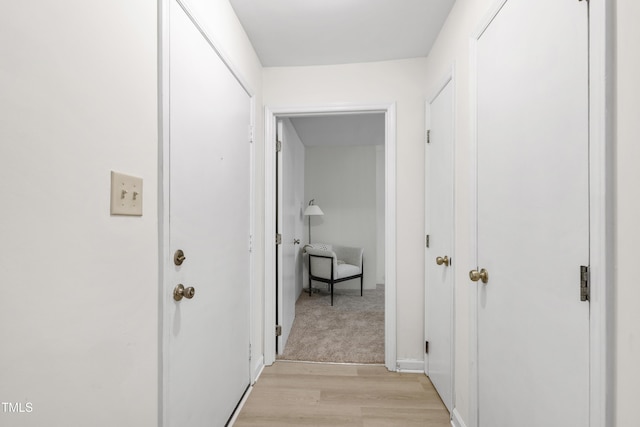 407 Gooseneck Dr Unit B1, Cary, NC 27513 - corridor featuring light wood finished floors