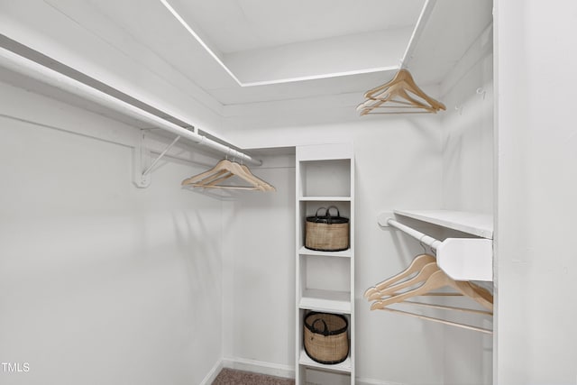 407 Gooseneck Dr Unit B1, Cary, NC 27513 - view of spacious closet