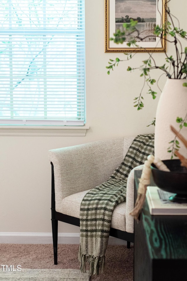 407 Gooseneck Dr Unit B1, Cary, NC 27513 - sitting room featuring carpet and baseboards
