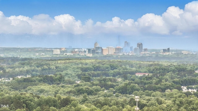 5408 Gunnette Dr, Raleigh, NC 27610 - view of city featuring a heavily wooded area