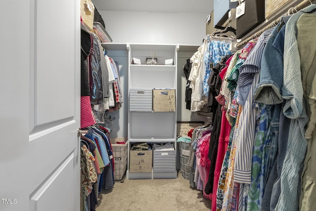 1374 Patriot Points Way, Fuquay Varina, NC 27526 - spacious closet with carpet floors