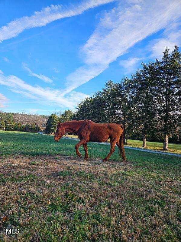 8365 Aaron Creek Church Rd, Oxford, NC 27565 - view of home's community with a yard