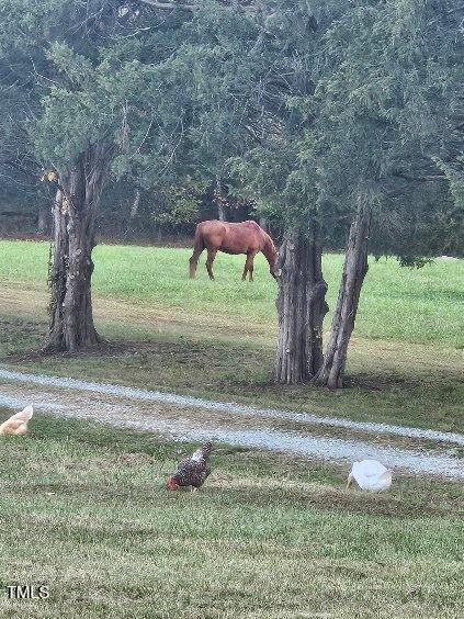 8365 Aaron Creek Church Rd, Oxford, NC 27565 - view of yard