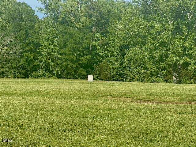 8365 Aaron Creek Church Rd, Oxford, NC 27565 - view of yard featuring a forest view