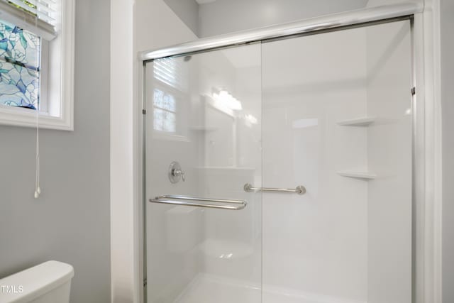 106 Gumdrop Path, Apex, NC 27502 - full bathroom with toilet and a shower stall