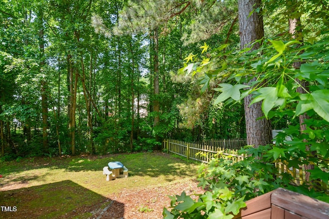 106 Gumdrop Path, Apex, NC 27502 - view of yard
