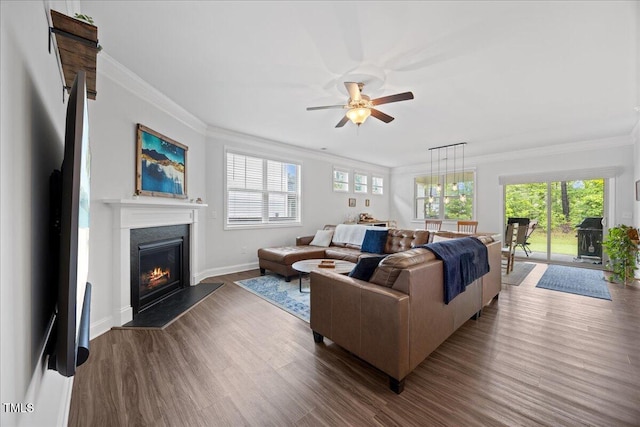 247 Axis Deer Ln, Garner, NC 27529 - living area with wood finished floors, a ceiling fan, ornamental molding, a glass covered fireplace, and plenty of natural light