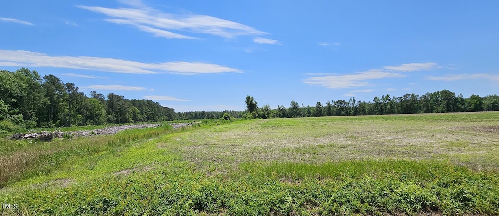 8513 Joe Brown Hwy S, Clarendon, NC 28432