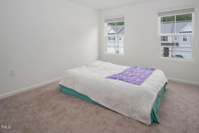 1213 Grenshaw Dr, Morrisville, NC 27560 - photo 18