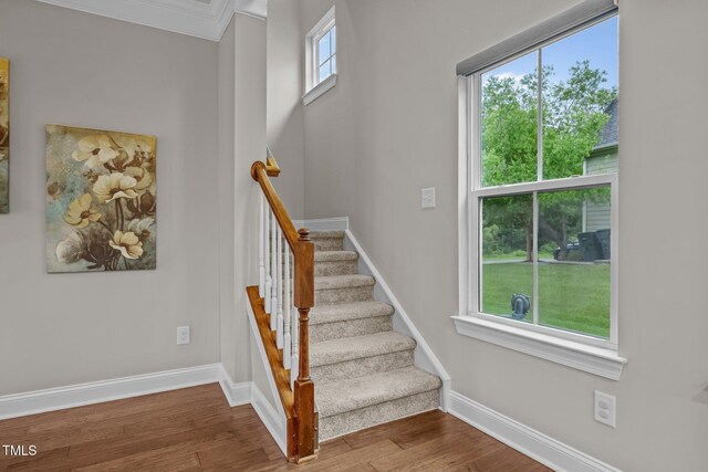 1144 Survada Ln, Morrisville, NC 27560 - photo 42