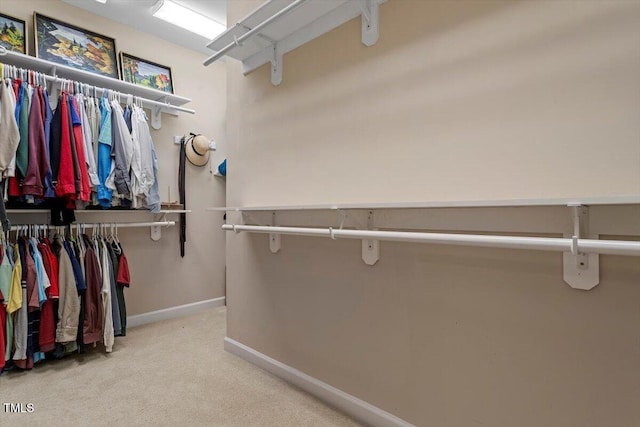 228 Ellisview Dr, Cary, NC 27519 - walk in closet with carpet