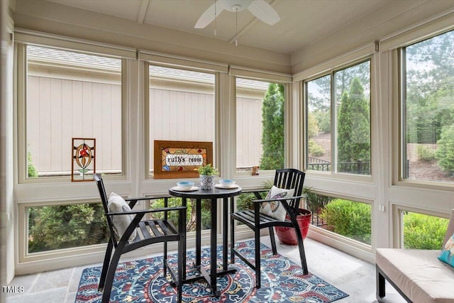 228 Ellisview Dr, Cary, NC 27519 - view of sunroom