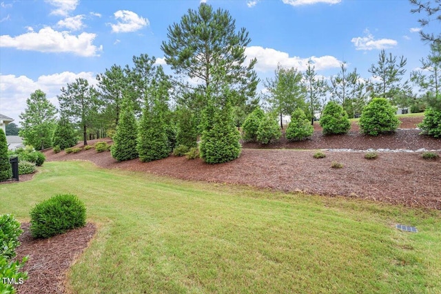 228 Ellisview Dr, Cary, NC 27519 - view of grassy yard