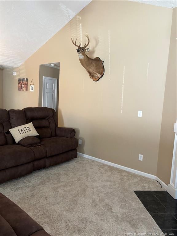 135 Paulownia Dr, Saint Pauls, NC 28384 - carpeted living area featuring lofted ceiling and baseboards