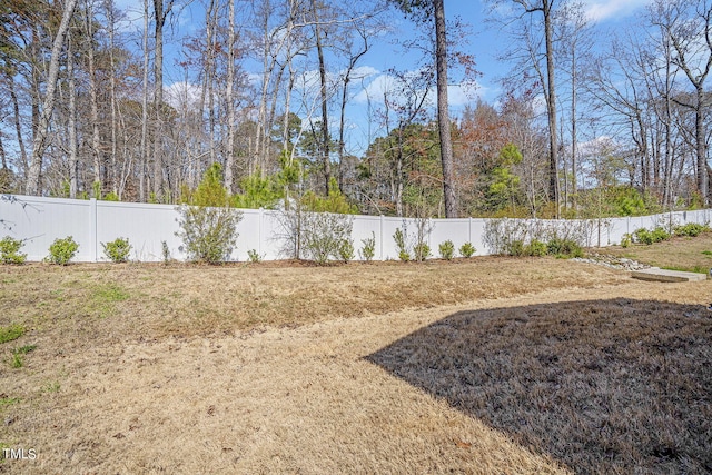 244 Chateau Way, Angier, NC 27501 - view of fenced backyard