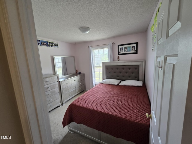 5810 Stardust Ct, Durham, NC 27712 - bedroom featuring light colored carpet and a textured ceiling