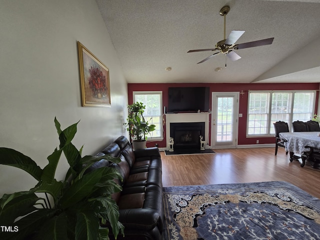 5810 Stardust Ct, Durham, NC 27712 - living area with lofted ceiling, a textured ceiling, a ceiling fan, plenty of natural light, and wood finished floors