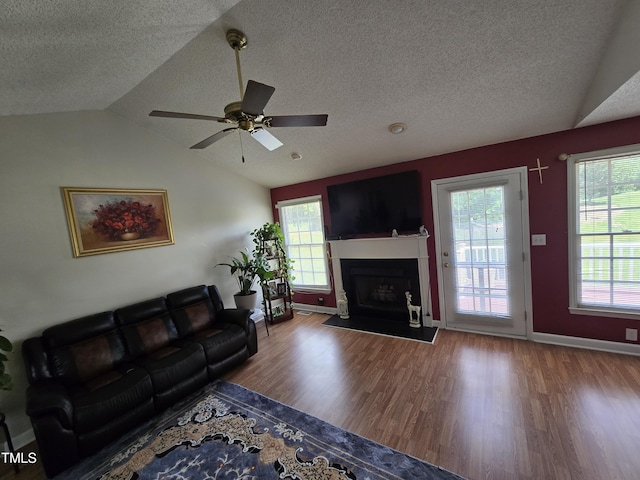 5810 Stardust Ct, Durham, NC 27712 - living room featuring a textured ceiling, wood finished floors, plenty of natural light, a fireplace with flush hearth, and vaulted ceiling