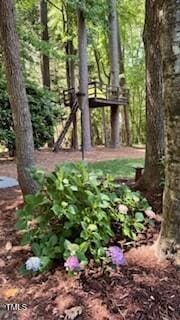 4329 Hawksong Pl, Cary, NC 27518 - view of yard