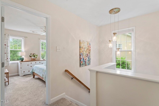 4329 Hawksong Pl, Cary, NC 27518 - bedroom featuring baseboards and carpet