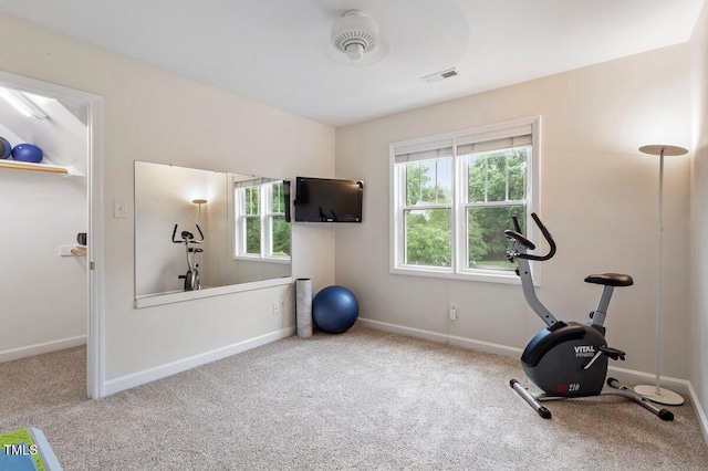 4329 Hawksong Pl, Cary, NC 27518 - exercise area featuring carpet flooring and baseboards