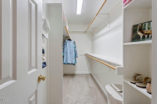 4329 Hawksong Pl, Cary, NC 27518 - walk in closet with carpet flooring