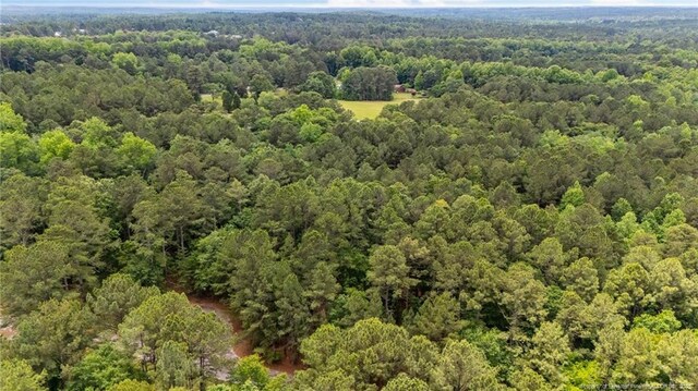 111 Millstone Ct, West End, NC 27376