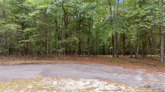 111 Millstone Ct, West End, NC 27376