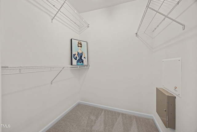 8151 Rhiannon Rd, Raleigh, NC 27613 - walk in closet with light carpet