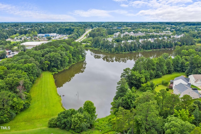 8151 Rhiannon Rd, Raleigh, NC 27613 - drone / aerial view of a large body of water