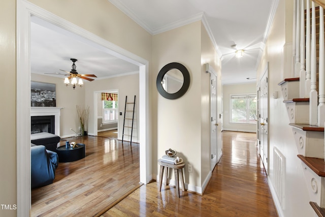 102 W Hill Dr, Cary, NC 27519 - hall featuring wood finished floors, plenty of natural light, crown molding, and baseboards