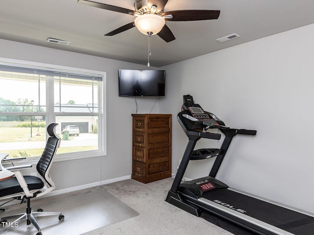 286 Beaver Tavern Dr, Benson, NC 27504 - workout area with a ceiling fan, carpet floors, and baseboards
