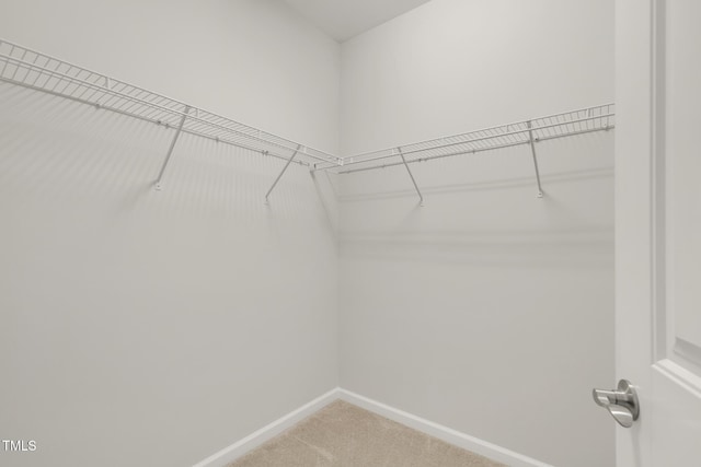 118 Manning Way, Durham, NC 27703 - walk in closet with light colored carpet