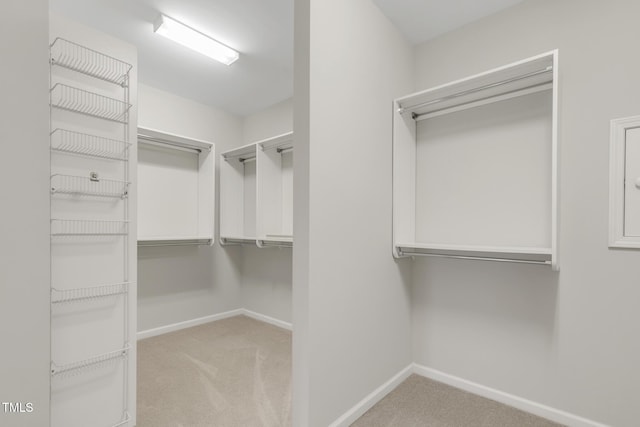 118 Manning Way, Durham, NC 27703 - spacious closet featuring carpet flooring