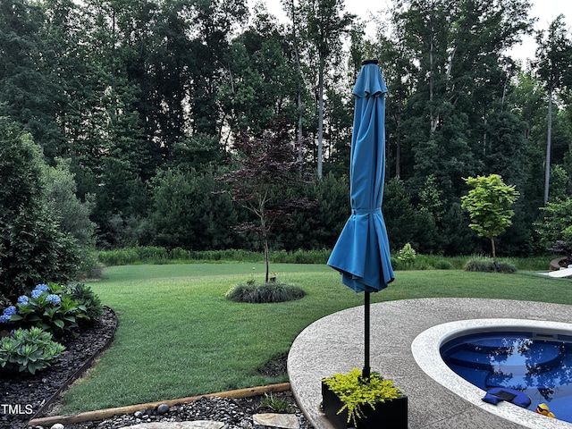 1131 Lowland St, Apex, NC 27523 - view of grassy yard with a jacuzzi