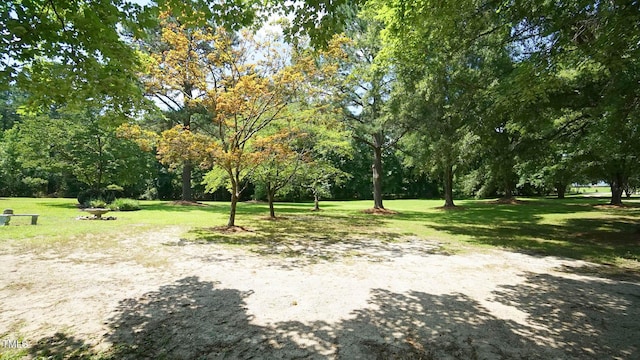 6600 Sadie Dr, Wendell, NC 27591 - photo 39