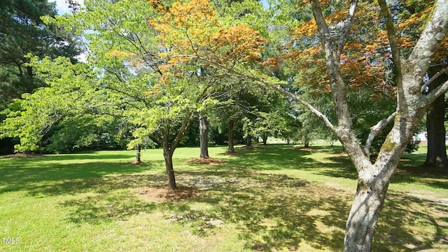 6600 Sadie Dr, Wendell, NC 27591 - photo 40