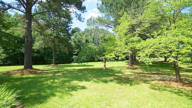 6600 Sadie Dr, Wendell, NC 27591 - photo 3