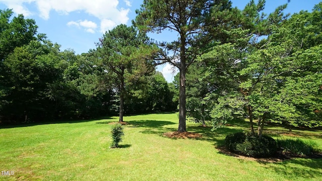 6600 Sadie Dr, Wendell, NC 27591 - photo 50