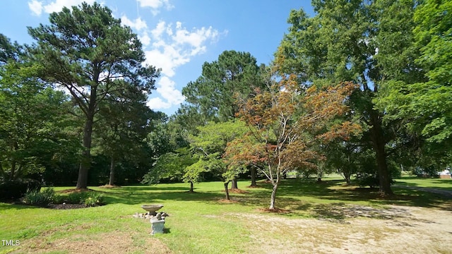 6600 Sadie Dr, Wendell, NC 27591 - photo 55