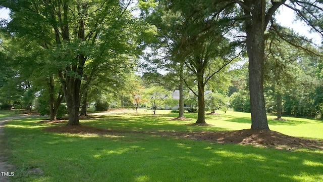 6600 Sadie Dr, Wendell, NC 27591 - photo 56