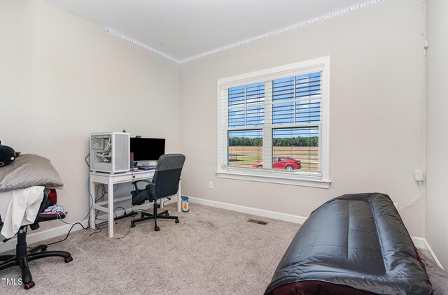 41 Tan Oak Dr, Selma, NC 27576 - office featuring baseboards, carpet floors, and ornamental molding