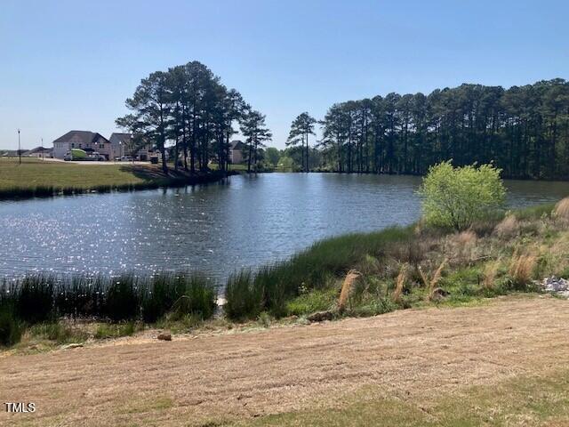 257 N Maple Walk Dr Unit 218, Garner, NC 27529 - water view